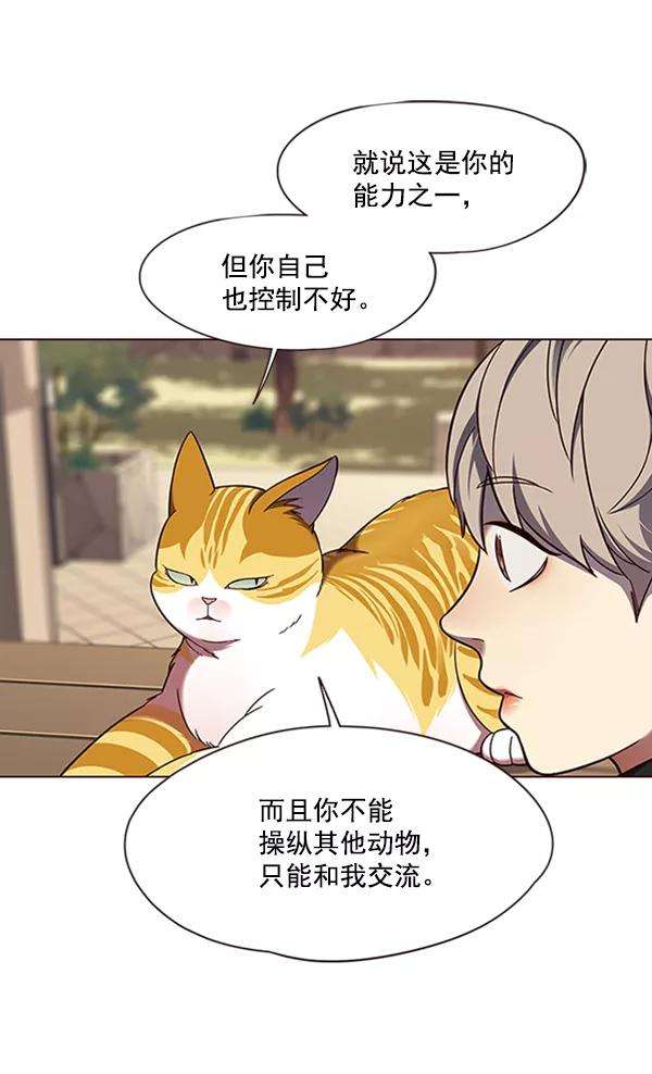 觉醒吧，铲屎官！81话