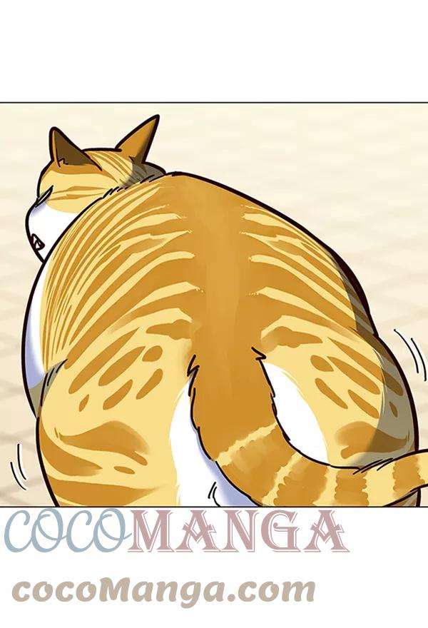 觉醒吧，铲屎官！81话