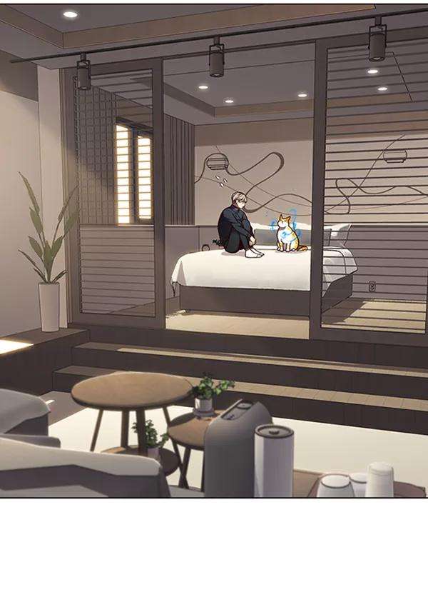 觉醒吧，铲屎官！82话