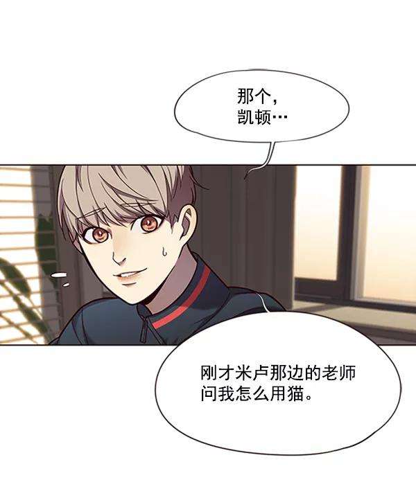 觉醒吧，铲屎官！82话