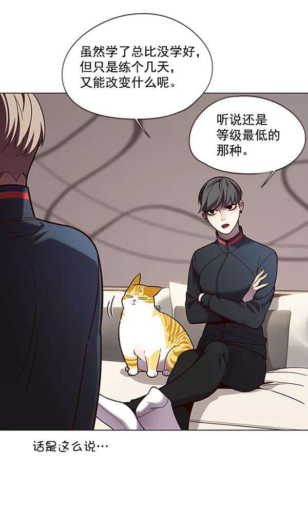 觉醒吧，铲屎官！82话