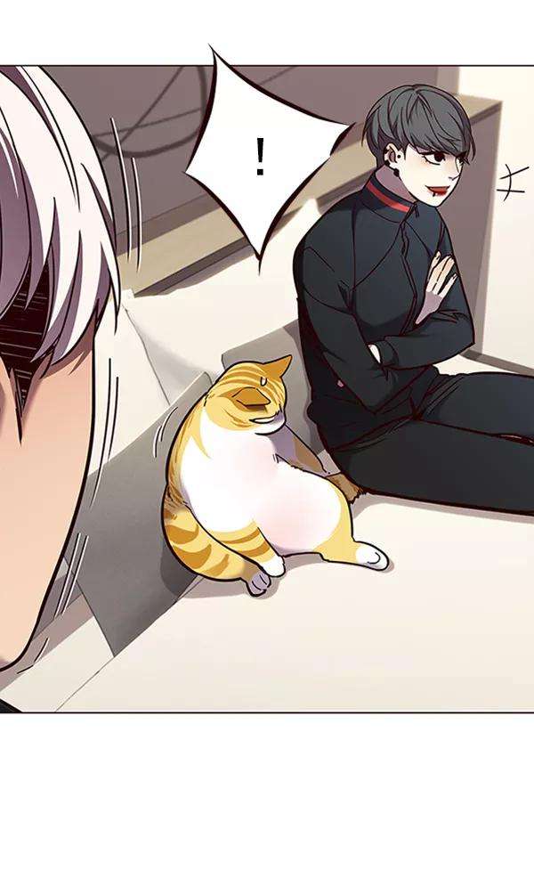 觉醒吧，铲屎官！82话