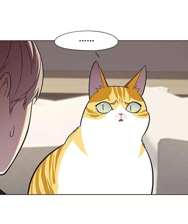 觉醒吧，铲屎官！82话