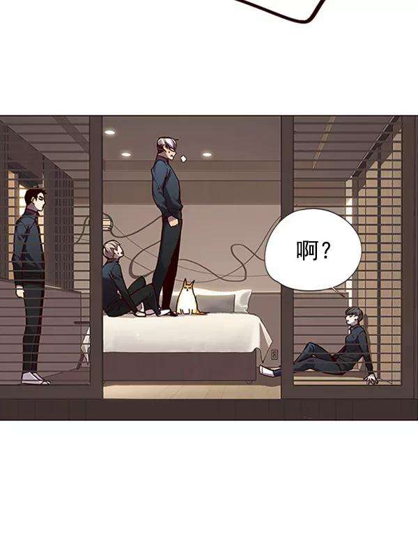 觉醒吧，铲屎官！82话