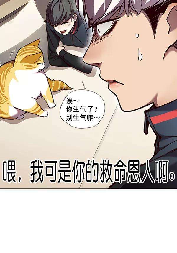 觉醒吧，铲屎官！82话