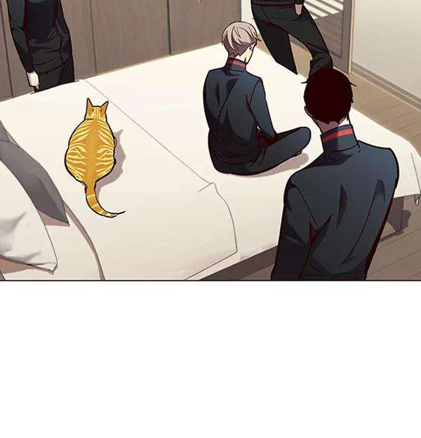 觉醒吧，铲屎官！82话