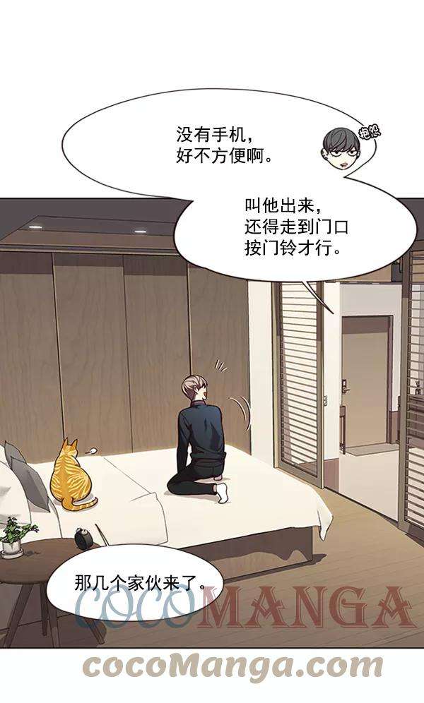 觉醒吧，铲屎官！82话