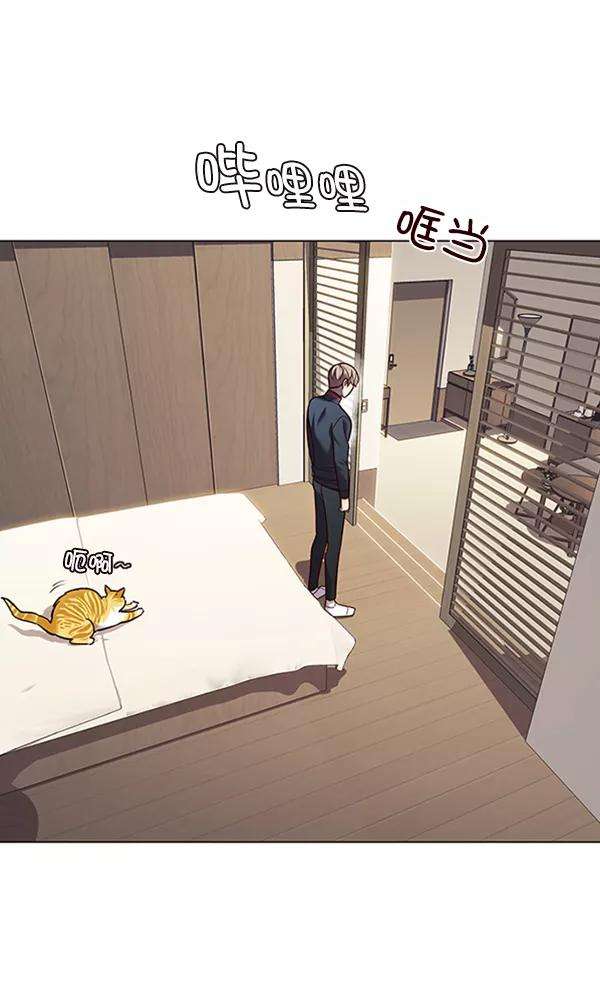 觉醒吧，铲屎官！82话