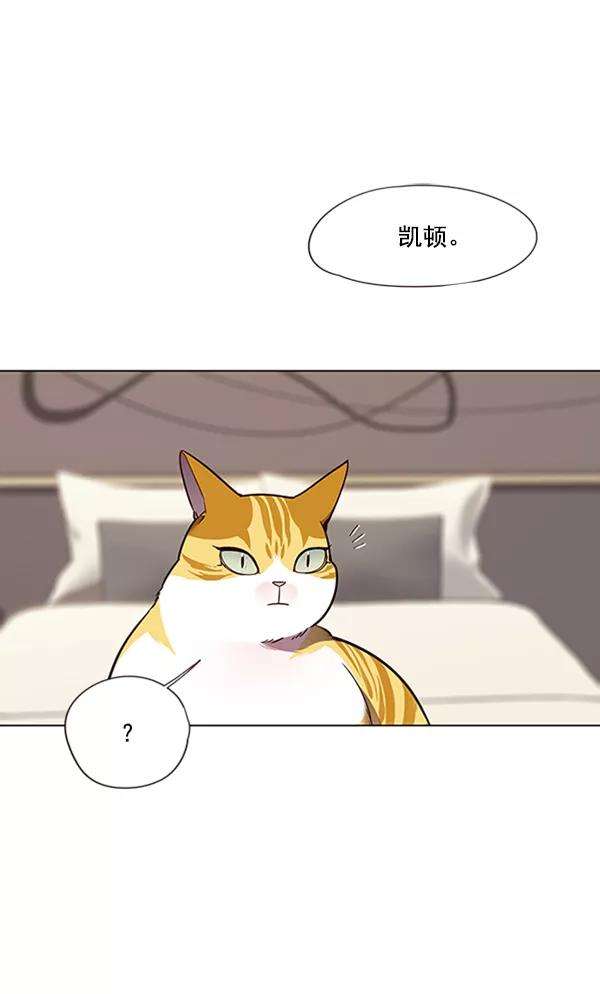 觉醒吧，铲屎官！82话