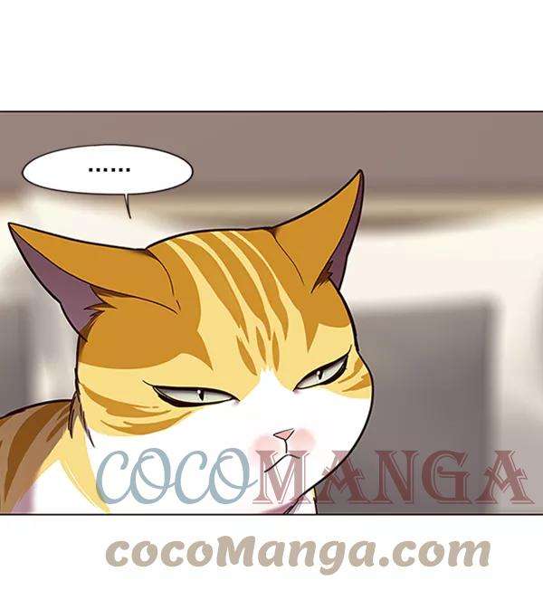 觉醒吧，铲屎官！82话