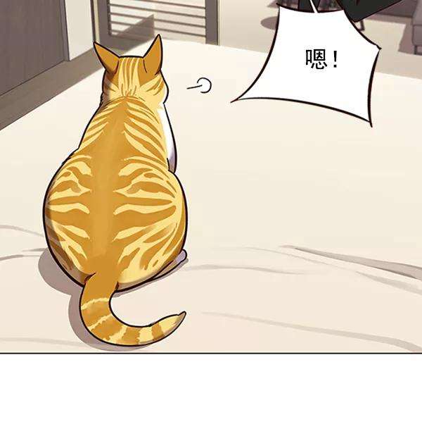 觉醒吧，铲屎官！82话