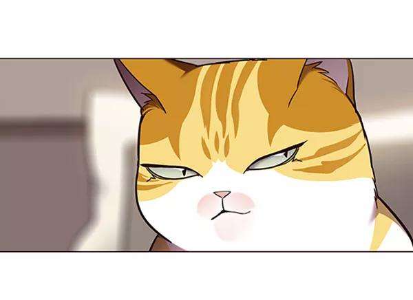 觉醒吧，铲屎官！82话