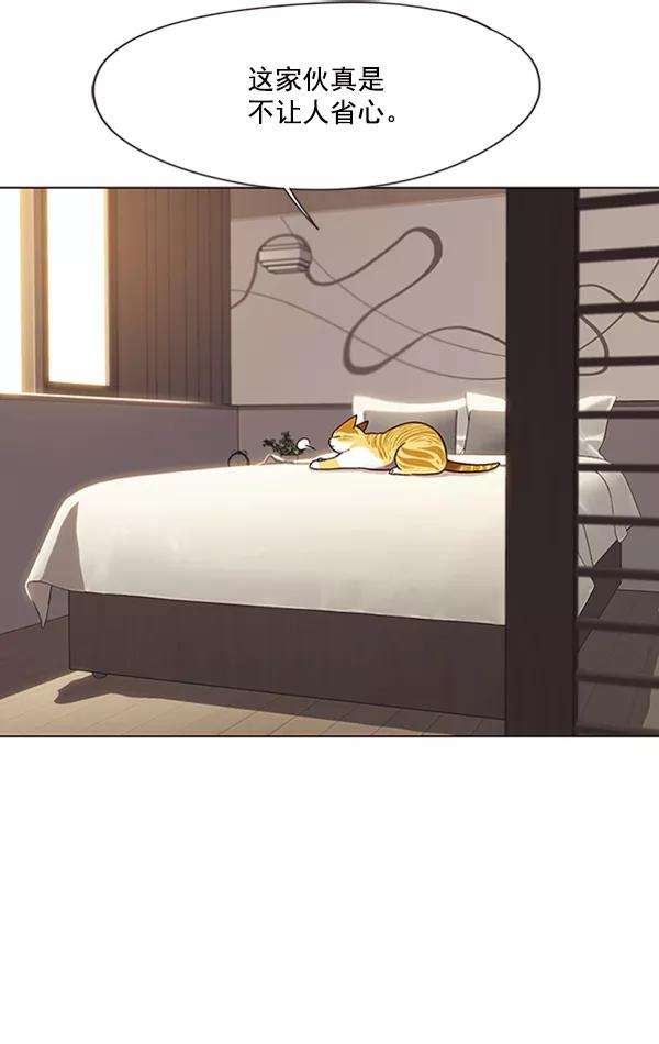 觉醒吧，铲屎官！82话