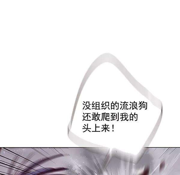 觉醒吧，铲屎官！86话