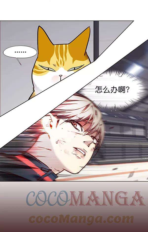 觉醒吧，铲屎官！87话