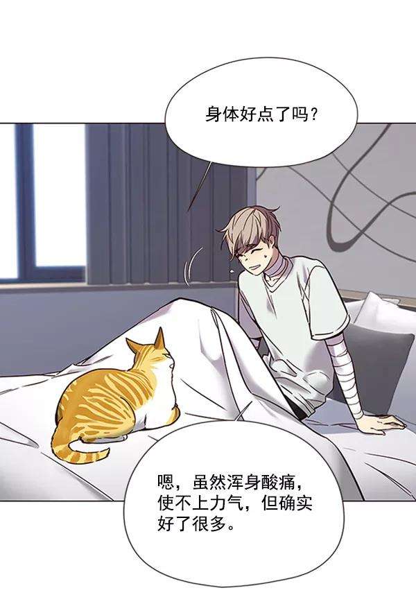 觉醒吧，铲屎官！88话