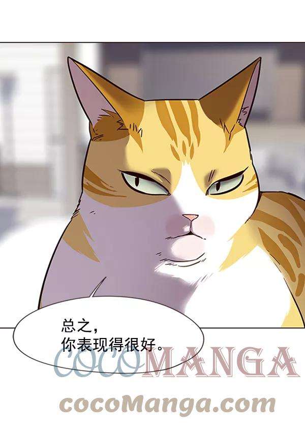 觉醒吧，铲屎官！88话