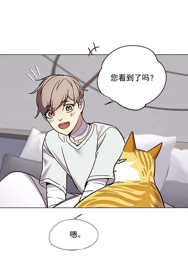 觉醒吧，铲屎官！88话