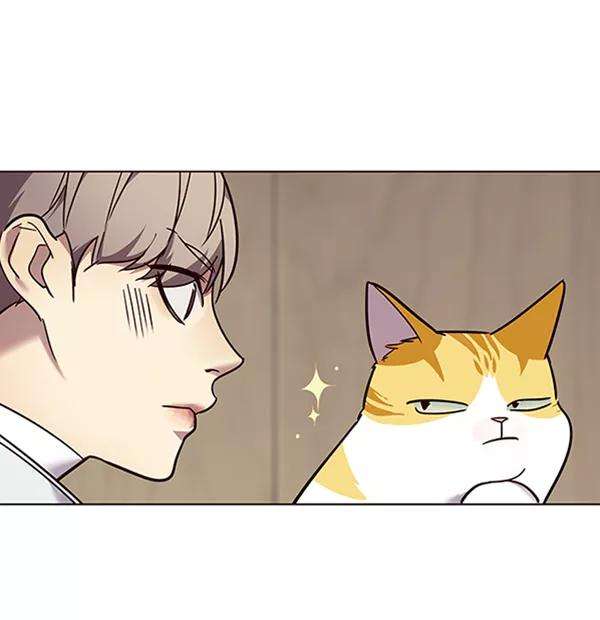 觉醒吧，铲屎官！88话