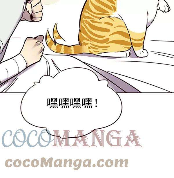 觉醒吧，铲屎官！88话