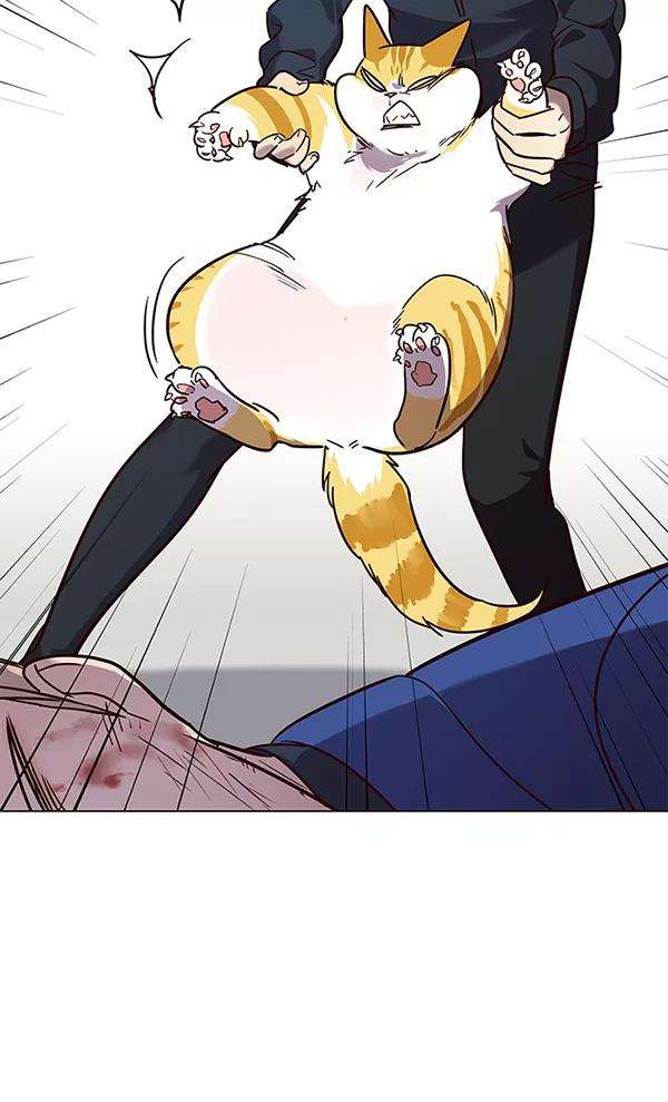 觉醒吧，铲屎官！89话