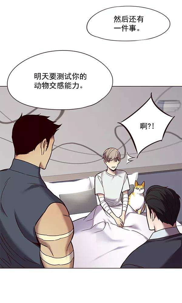 觉醒吧，铲屎官！89话