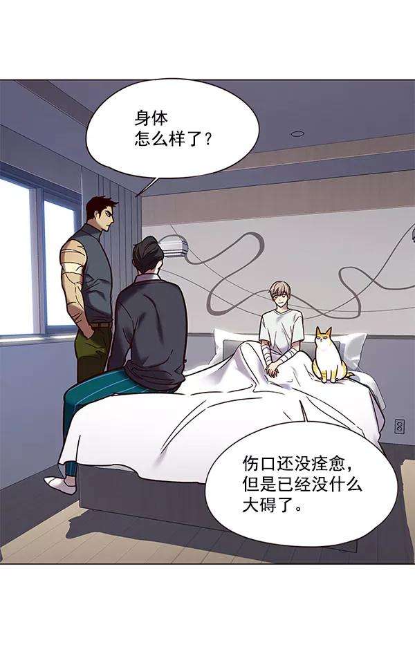 觉醒吧，铲屎官！89话