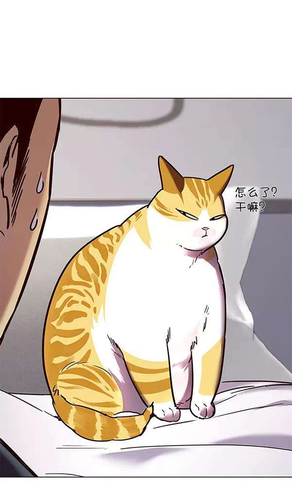 觉醒吧，铲屎官！89话