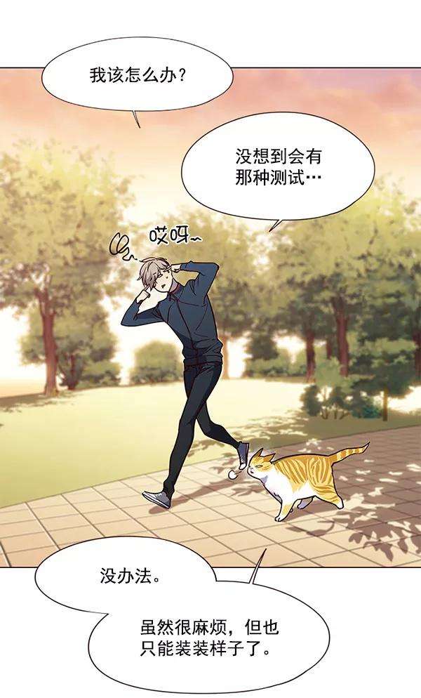 觉醒吧，铲屎官！89话