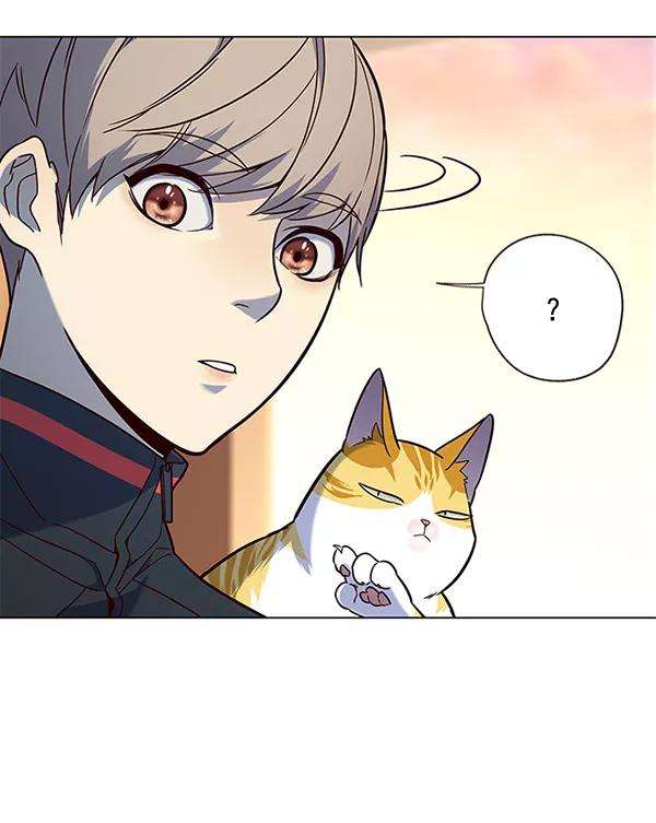 觉醒吧，铲屎官！89话