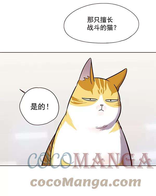 觉醒吧，铲屎官！89话