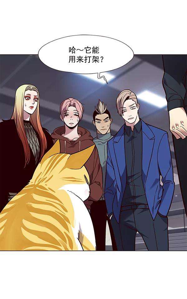 觉醒吧，铲屎官！89话