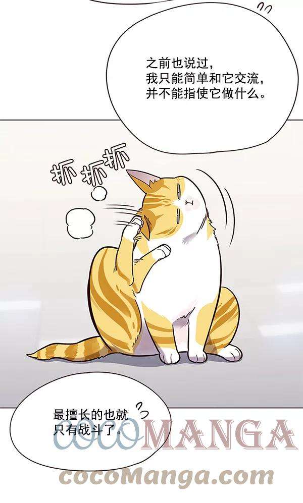 觉醒吧，铲屎官！89话