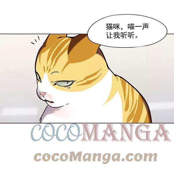 觉醒吧，铲屎官！89话