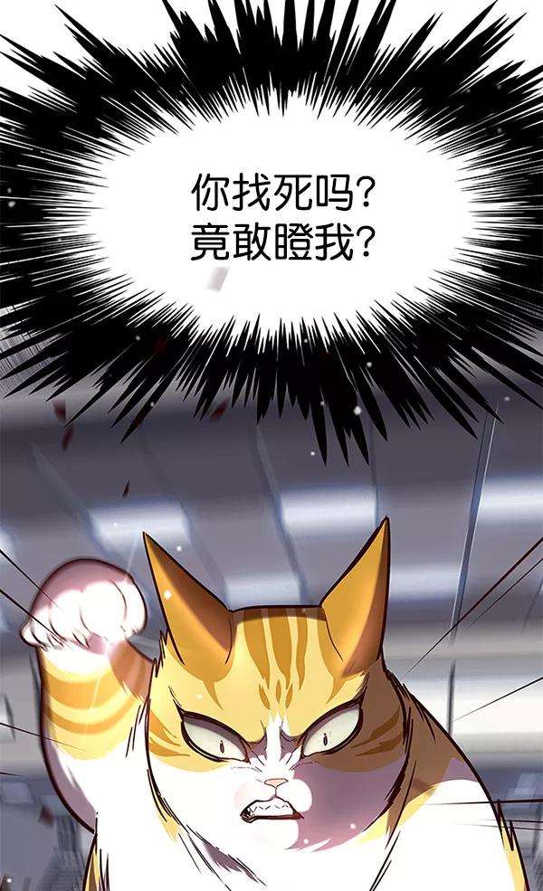 觉醒吧，铲屎官！89话