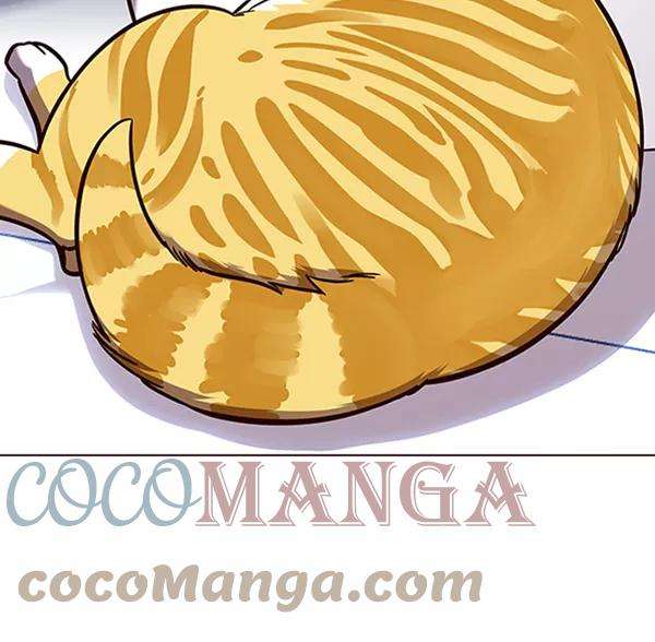 觉醒吧，铲屎官！90话