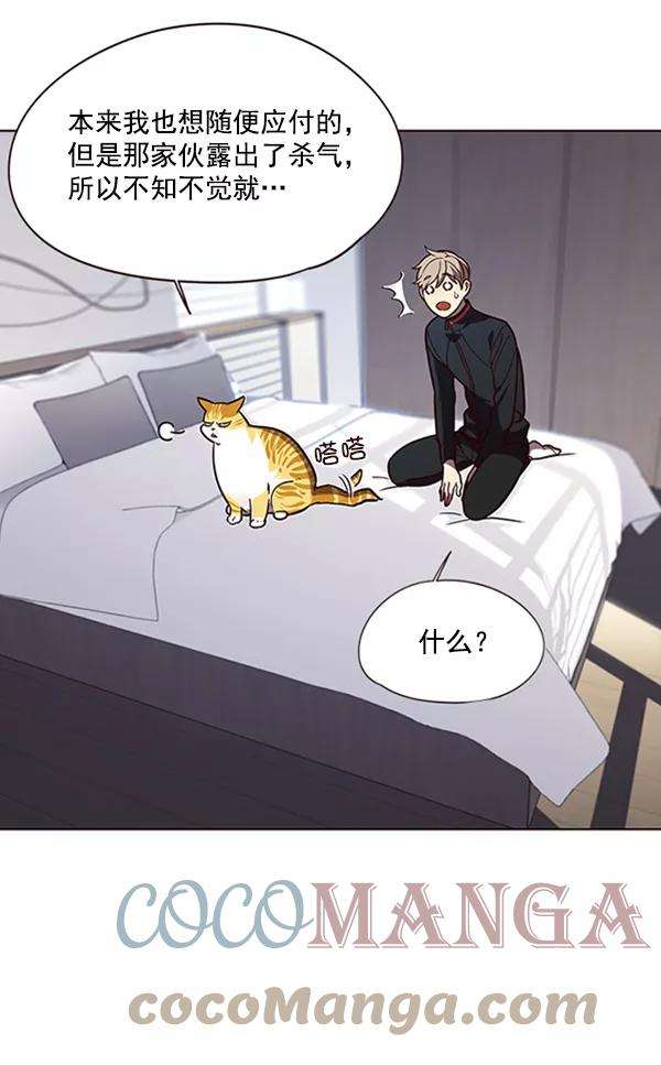 觉醒吧，铲屎官！90话