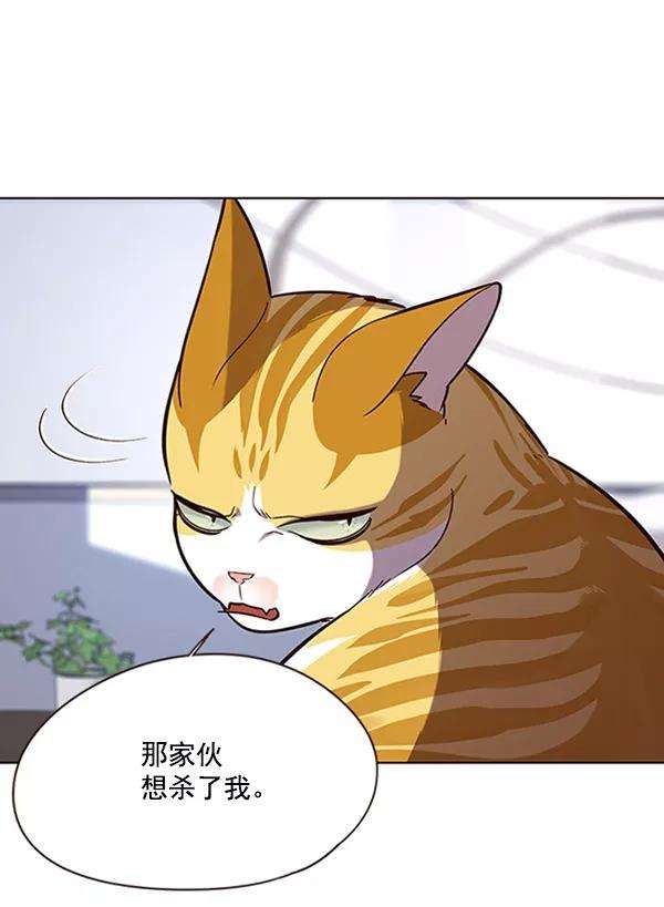 觉醒吧，铲屎官！90话