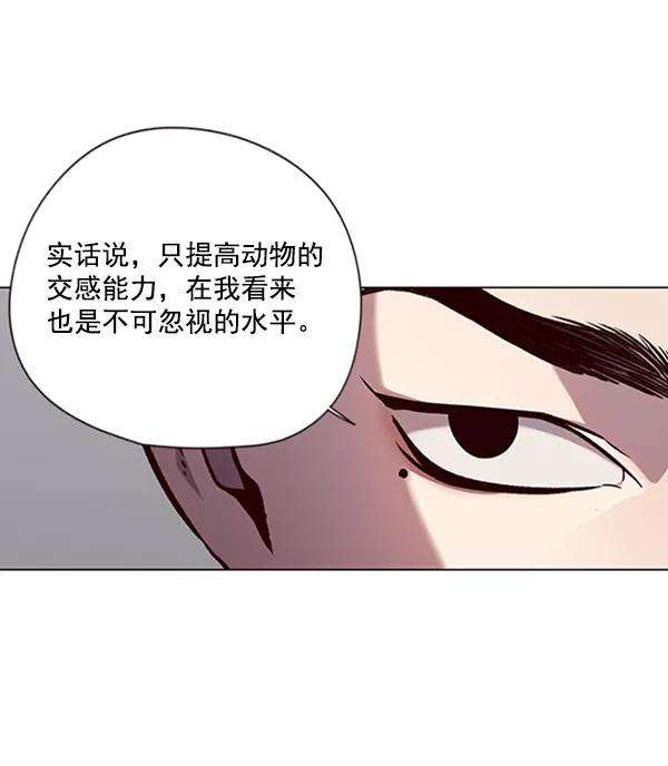 觉醒吧，铲屎官！90话