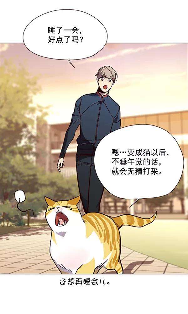 觉醒吧，铲屎官！90话