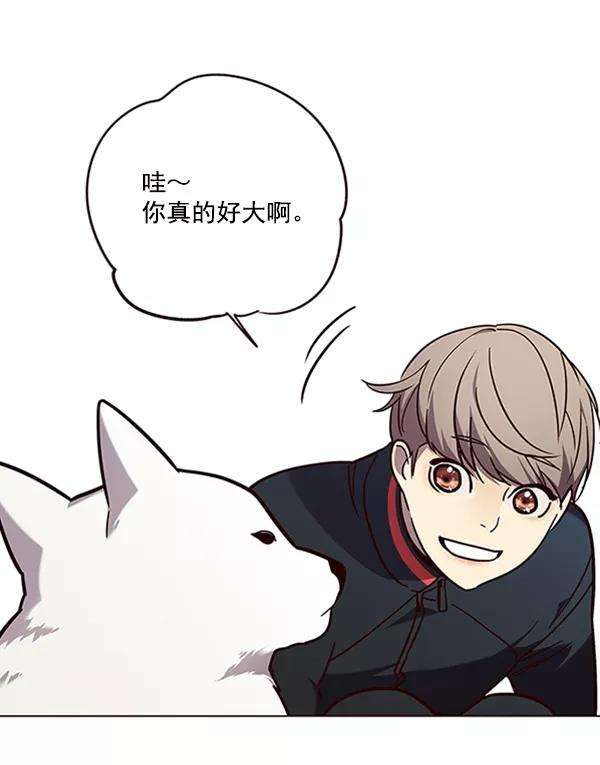 觉醒吧，铲屎官！90话