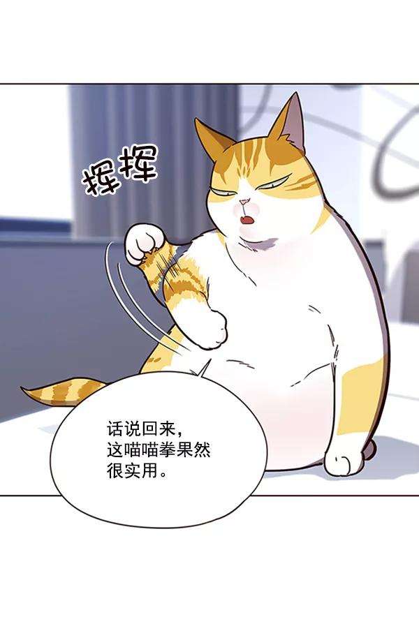 觉醒吧，铲屎官！90话