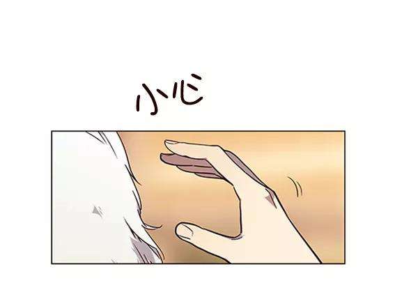 觉醒吧，铲屎官！90话