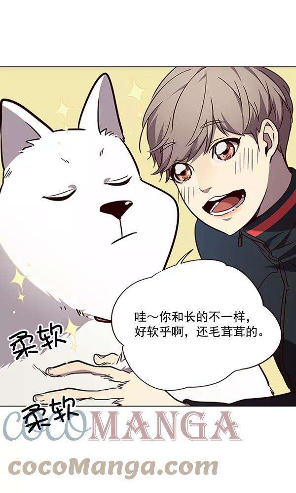 觉醒吧，铲屎官！90话