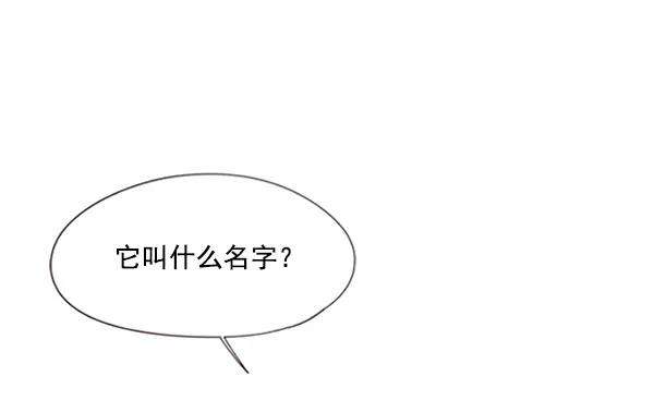 觉醒吧，铲屎官！90话