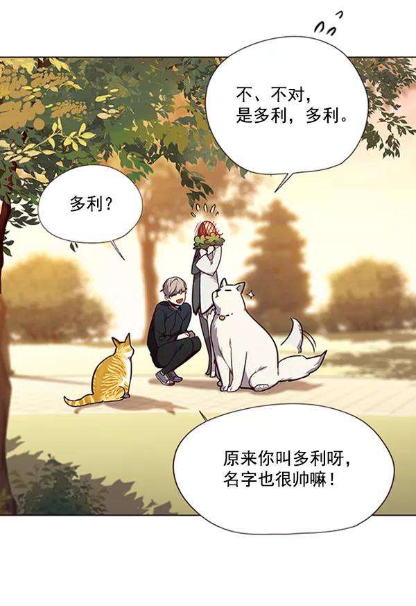 觉醒吧，铲屎官！90话