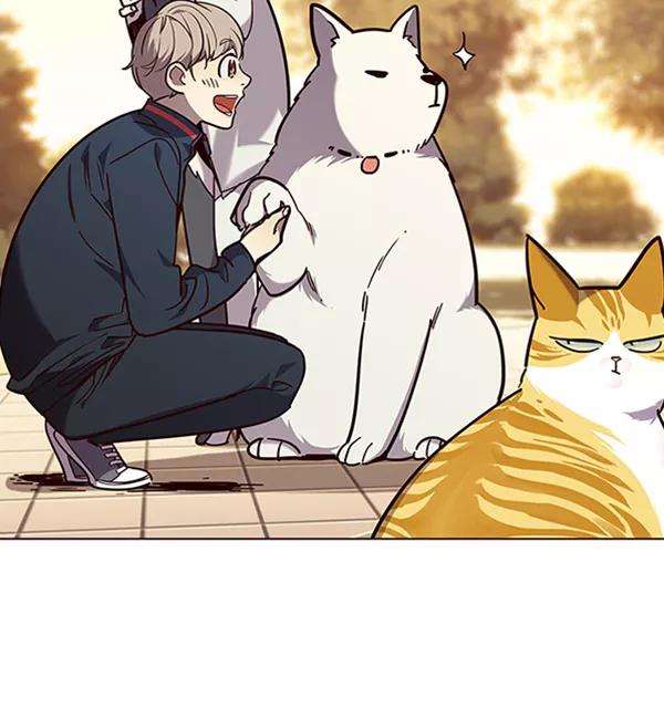 觉醒吧，铲屎官！90话