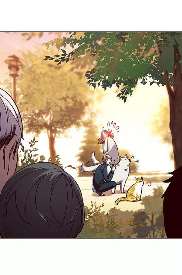 觉醒吧，铲屎官！90话