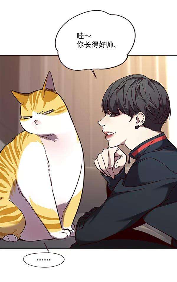 觉醒吧，铲屎官！91话