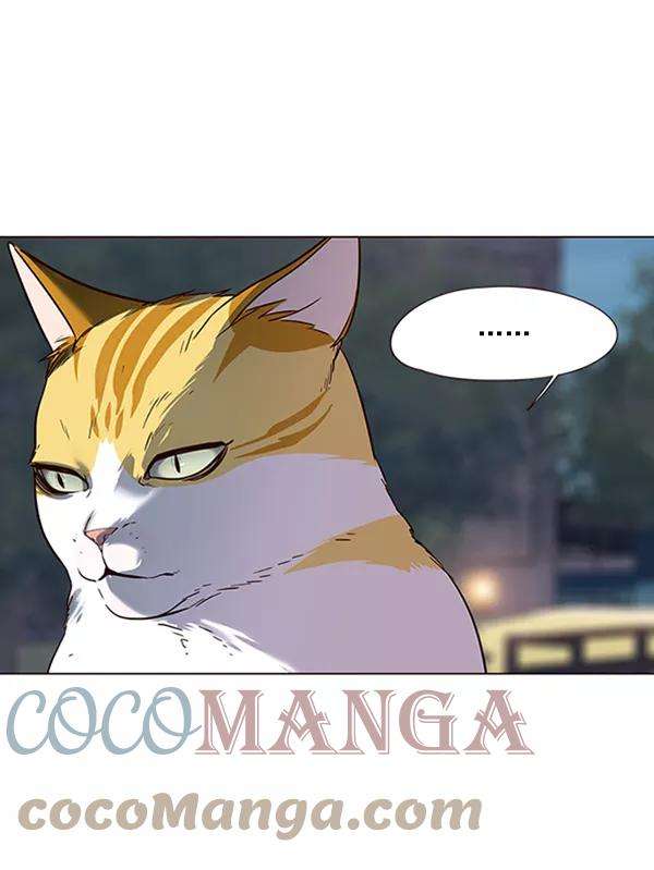 觉醒吧，铲屎官！91话